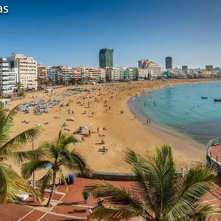 Jellyfish * Las Palmas de Gran Canaria