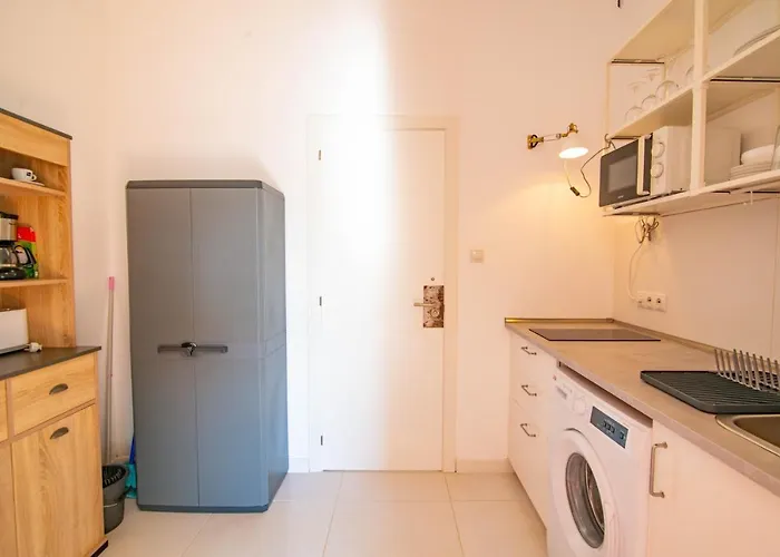 Jellyfish Las Palmas de Gran Canaria